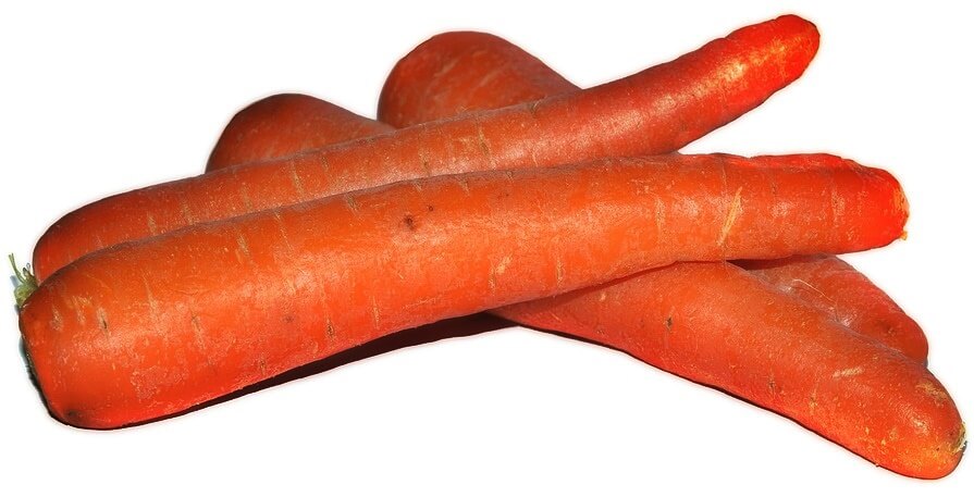 Carrot